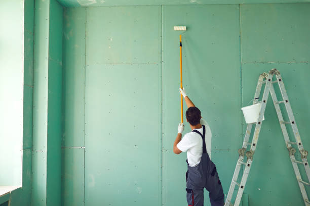 Best Post-Construction Mold Inspection  in Helena Valley West Central, MT